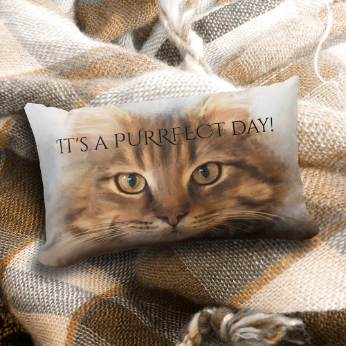 Purrfect tabby maine coon cat pillow