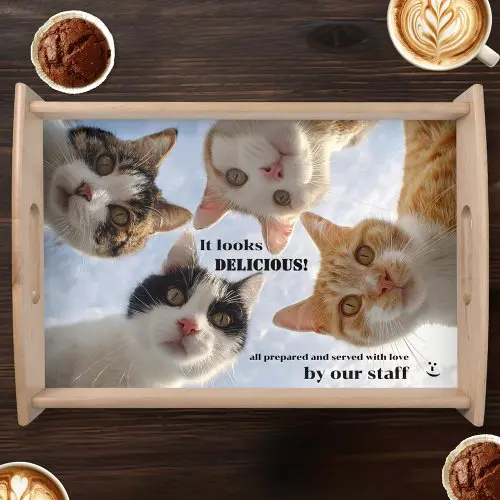Funny cats personalized serving tray