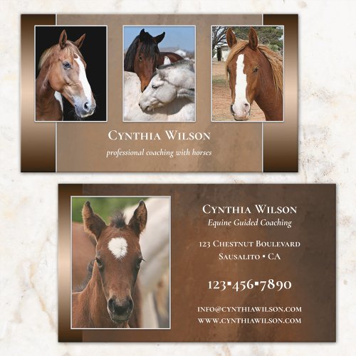 Your photos horse stables equestrian or coaching business card