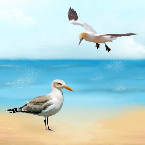 Gull and gannet on the beach - fine art by Anne Vis